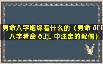 男命八字姻缘看什么的（男命 🐕 八字看命 🦉 中注定的配偶）